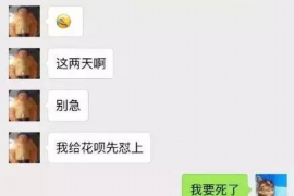 绵阳为什么选择专业追讨公司来处理您的债务纠纷？